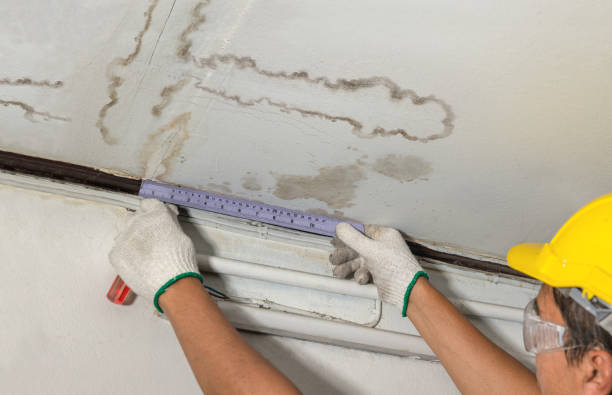 Reliable Structural Drying contractor in Plymouth, MI by Local Water Damage Repair